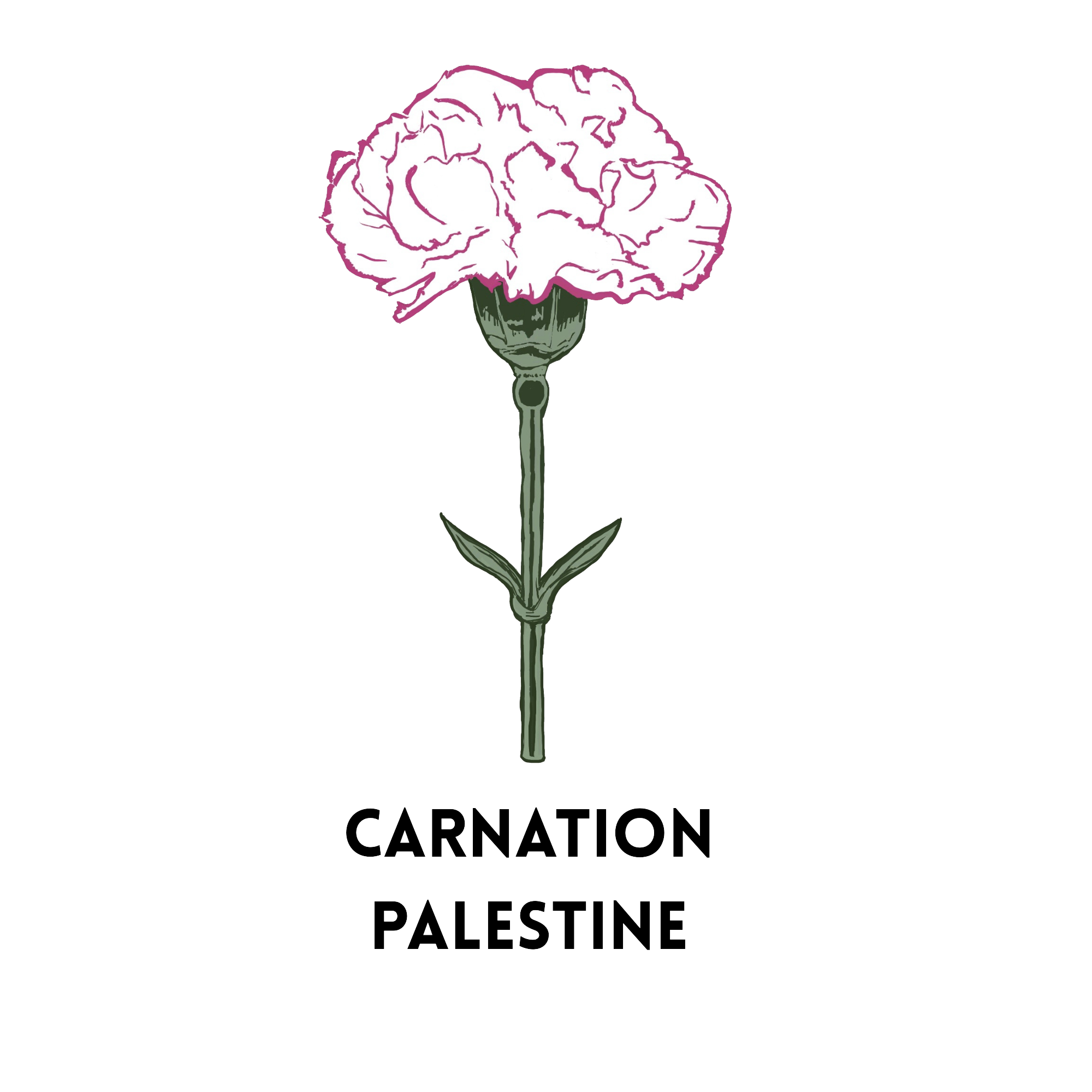 Carnation Palestine